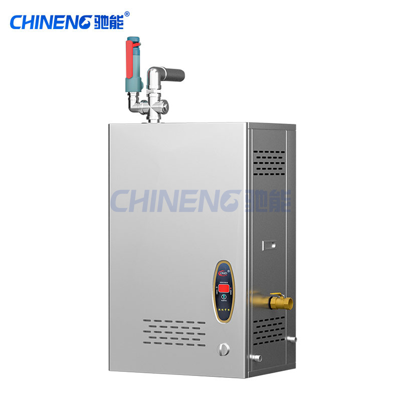 Wall mounted steam generator