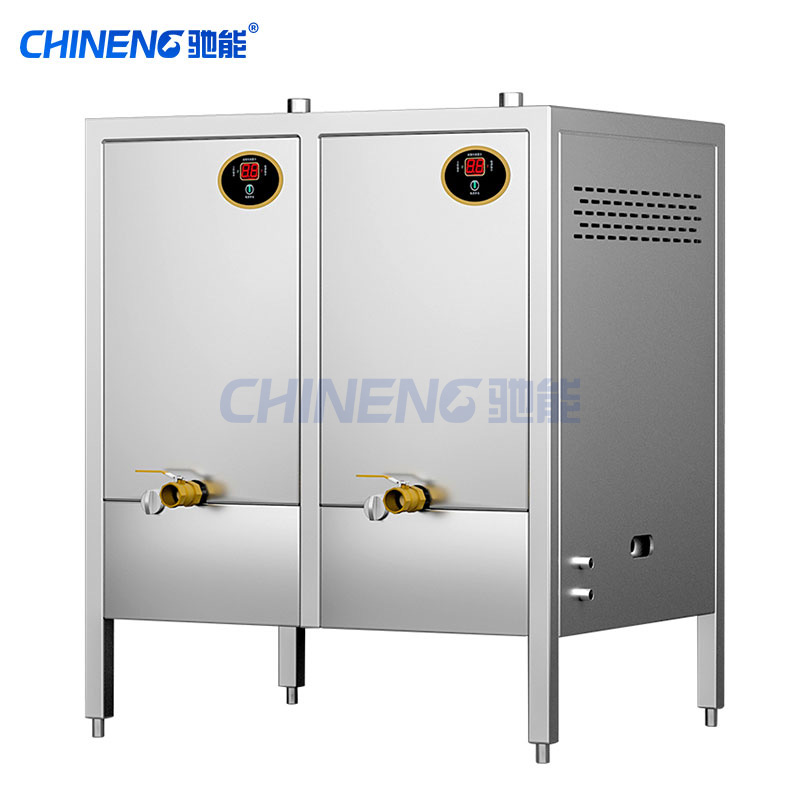 Vertical steam generator